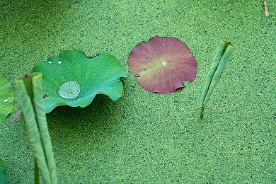 欧盟委员会副主席详解批准微软收购动视暴雪原因
